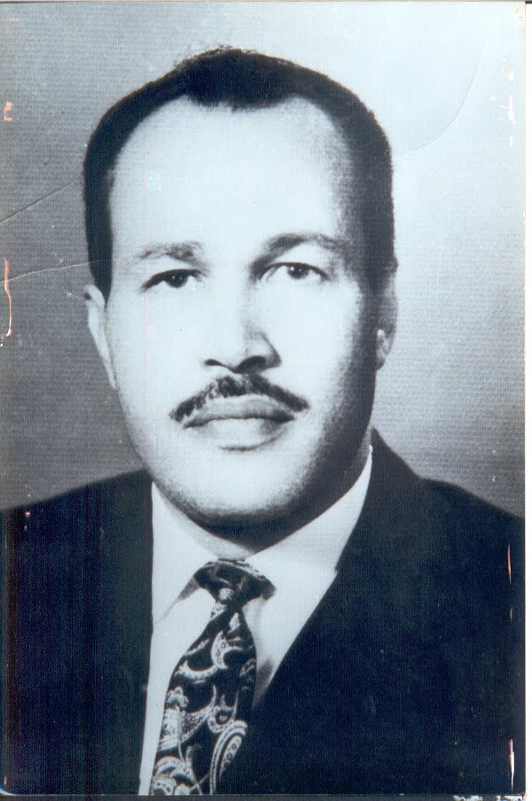محمد عثمان إسماعيل - محافظ أسيوط